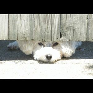 Check out new bundle discounts!